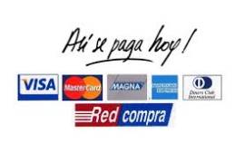 microsoft partner chile